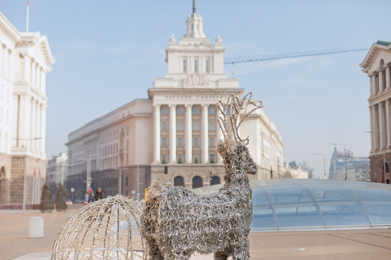 reindeer in Sofia center